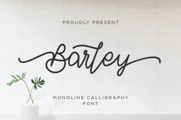 Barley: The Script Font That Elevates Campaign Visuals with Authentic Charm