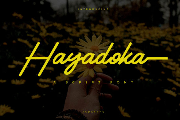 Hayadoka: A Designer’s Take on Its Real-World Use