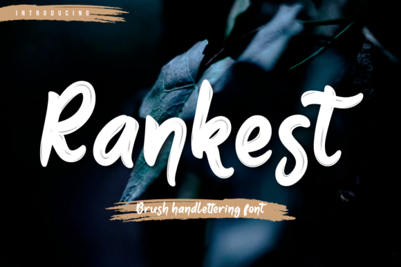 Rankest: A Handwritten Font for Modern Web Design