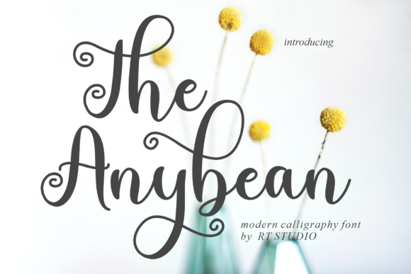 The Anybean: A Handwritten Font That Brings Personality to Brand Design